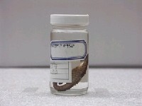 藏品(三斑海馬)的圖片